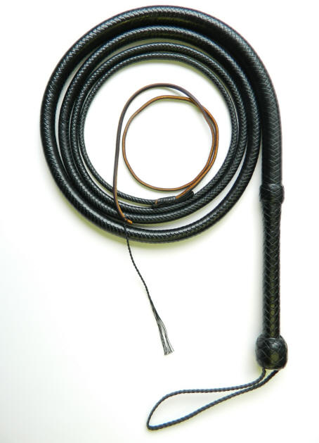 Lone%20Rnager%2010'%20Bullwhip%202