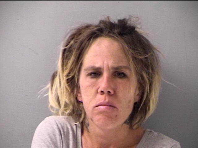 Robin McDaniel