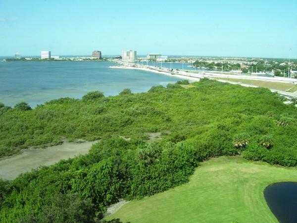 l_fc1c8868d60d4eeba2028a22935cc084